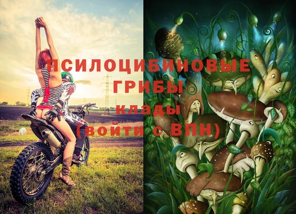 тгк Гусев