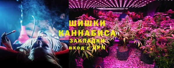 PSILOCYBIN Навашино
