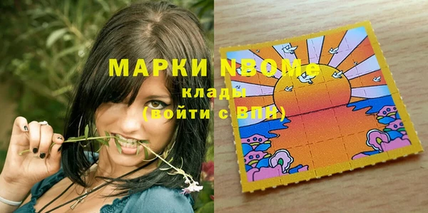 тгк Гусев
