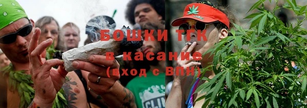 ГАЛЛЮЦИНОГЕННЫЕ ГРИБЫ Костерёво