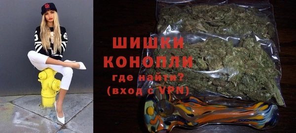 тгк Гусев