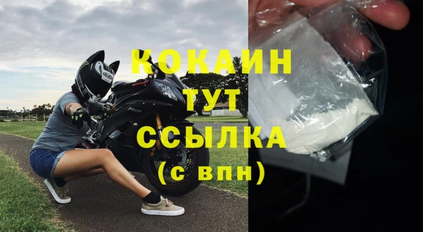 тгк Гусев