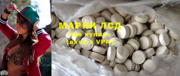 тгк Гусев