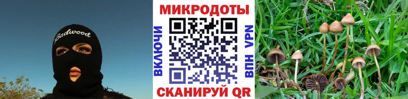 Галлюциногенные грибы Cubensis  купить  цена  Отрадный 