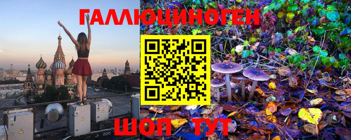 Отрадный  Псилоцибиновые грибы MAGIC MUSHROOMS  Вход с VPN 