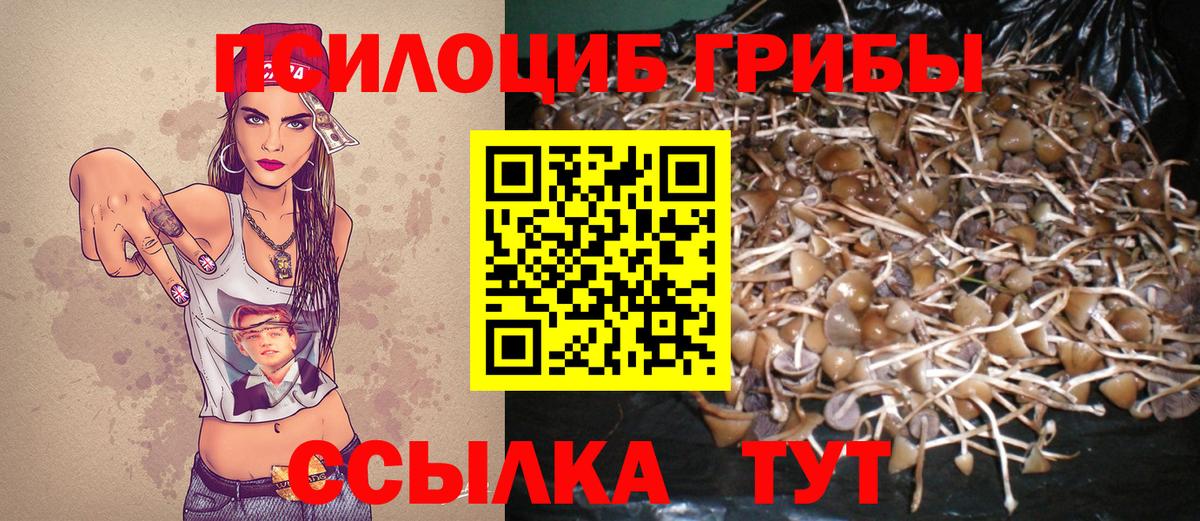 Галлюциногенные грибы Psilocybe Отрадный