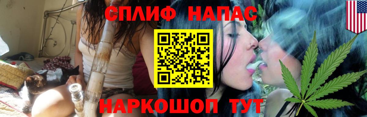 Бошки Шишки план Отрадный